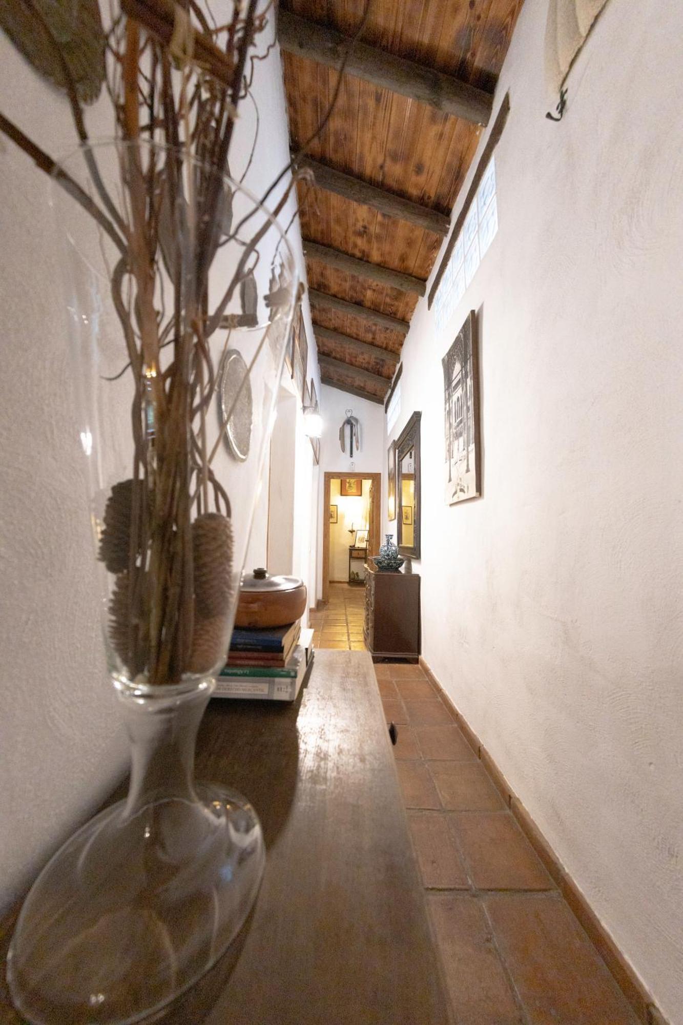 La Cuadra, Finca A Los Pies De Sierra Nevada, A 10 Minutos Del Centro, Piscina, Jardin, Barbacoa ラ・スビア エクステリア 写真