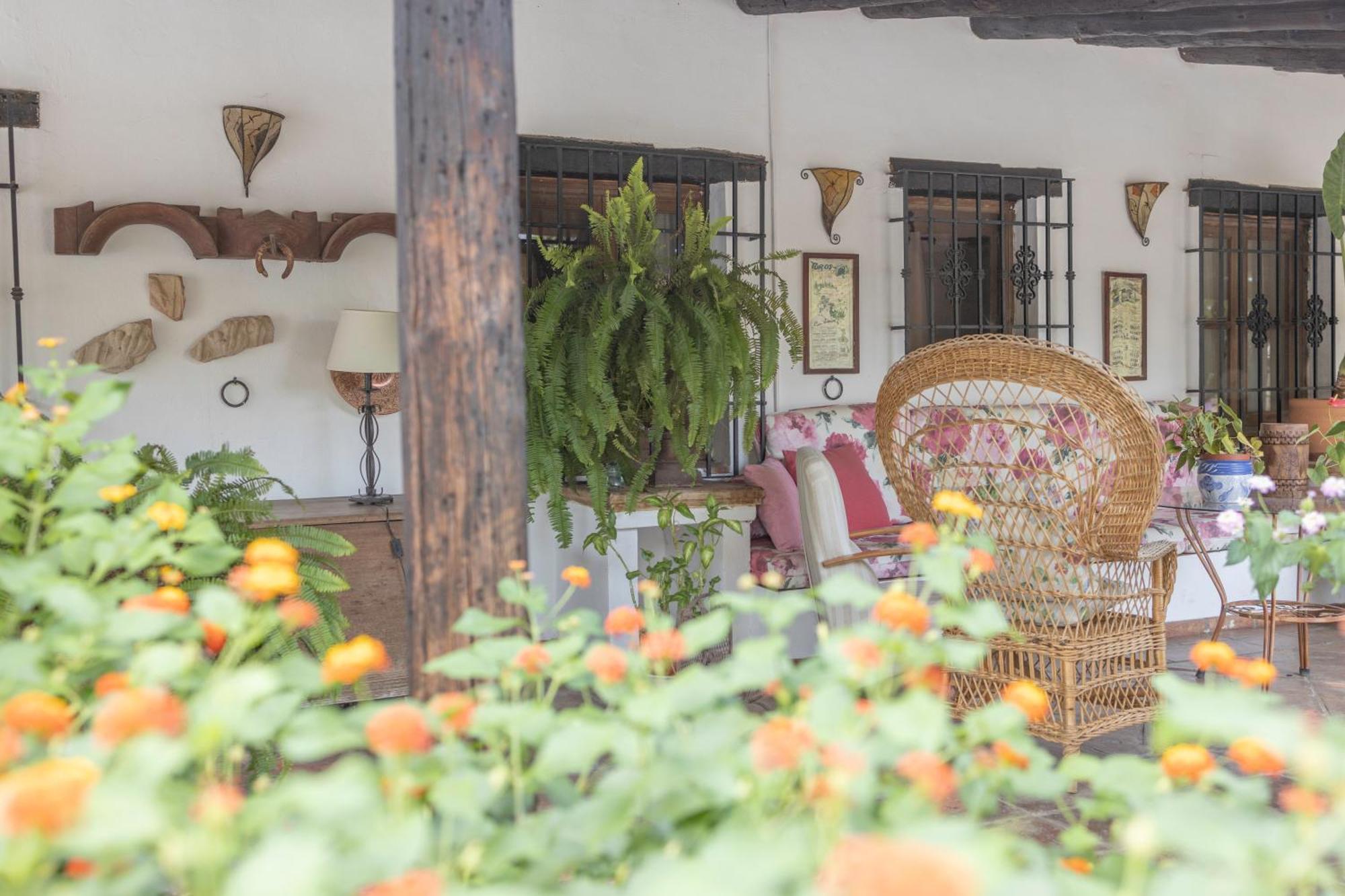 La Cuadra, Finca A Los Pies De Sierra Nevada, A 10 Minutos Del Centro, Piscina, Jardin, Barbacoa ラ・スビア エクステリア 写真