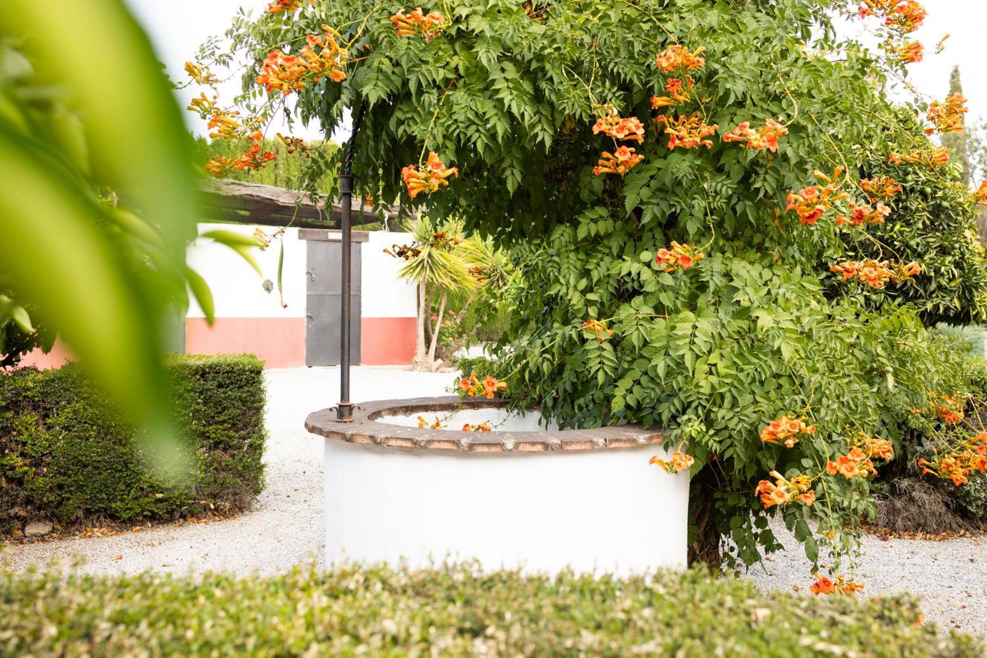 La Cuadra, Finca A Los Pies De Sierra Nevada, A 10 Minutos Del Centro, Piscina, Jardin, Barbacoa ラ・スビア エクステリア 写真
