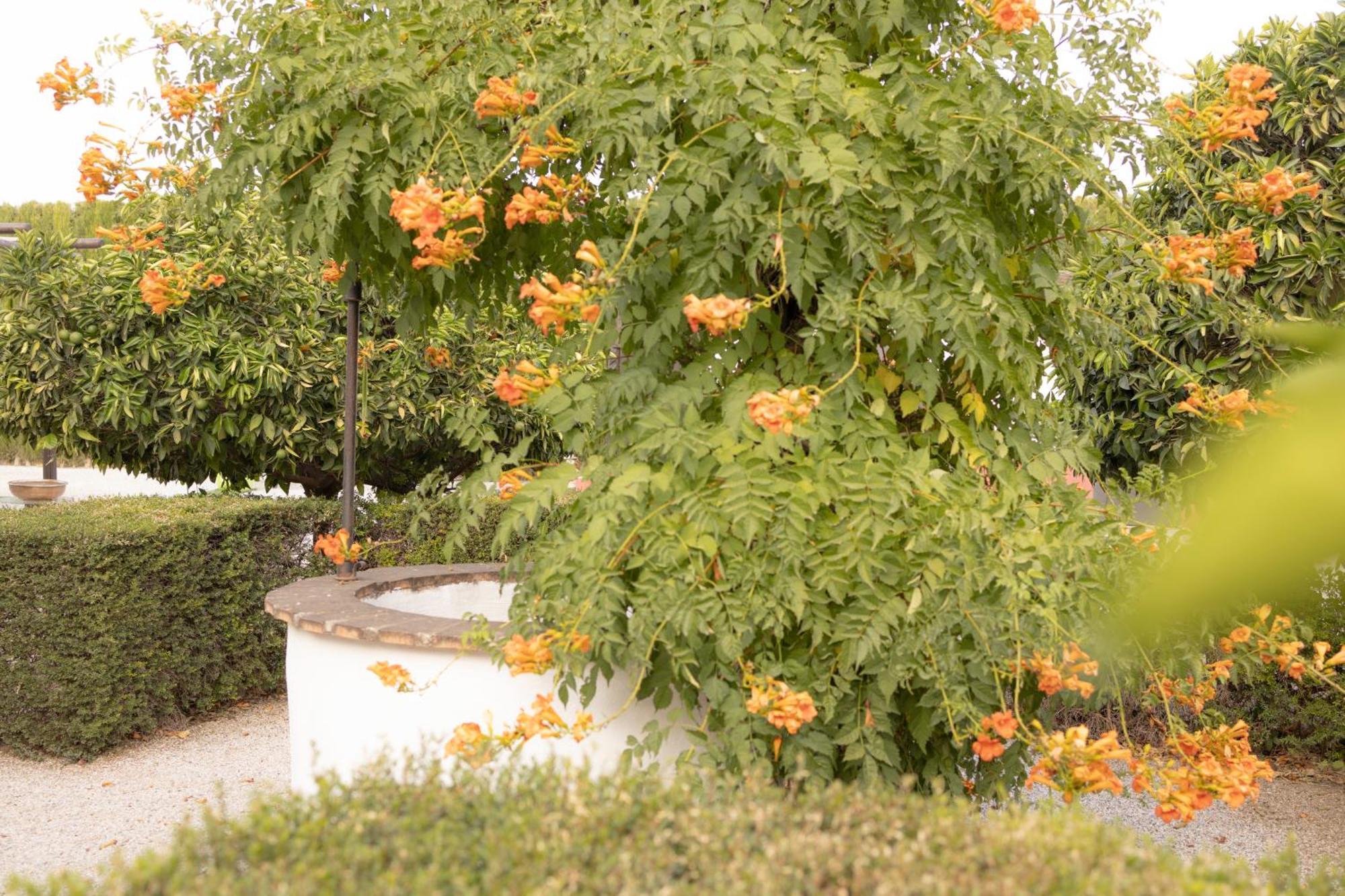 La Cuadra, Finca A Los Pies De Sierra Nevada, A 10 Minutos Del Centro, Piscina, Jardin, Barbacoa ラ・スビア エクステリア 写真