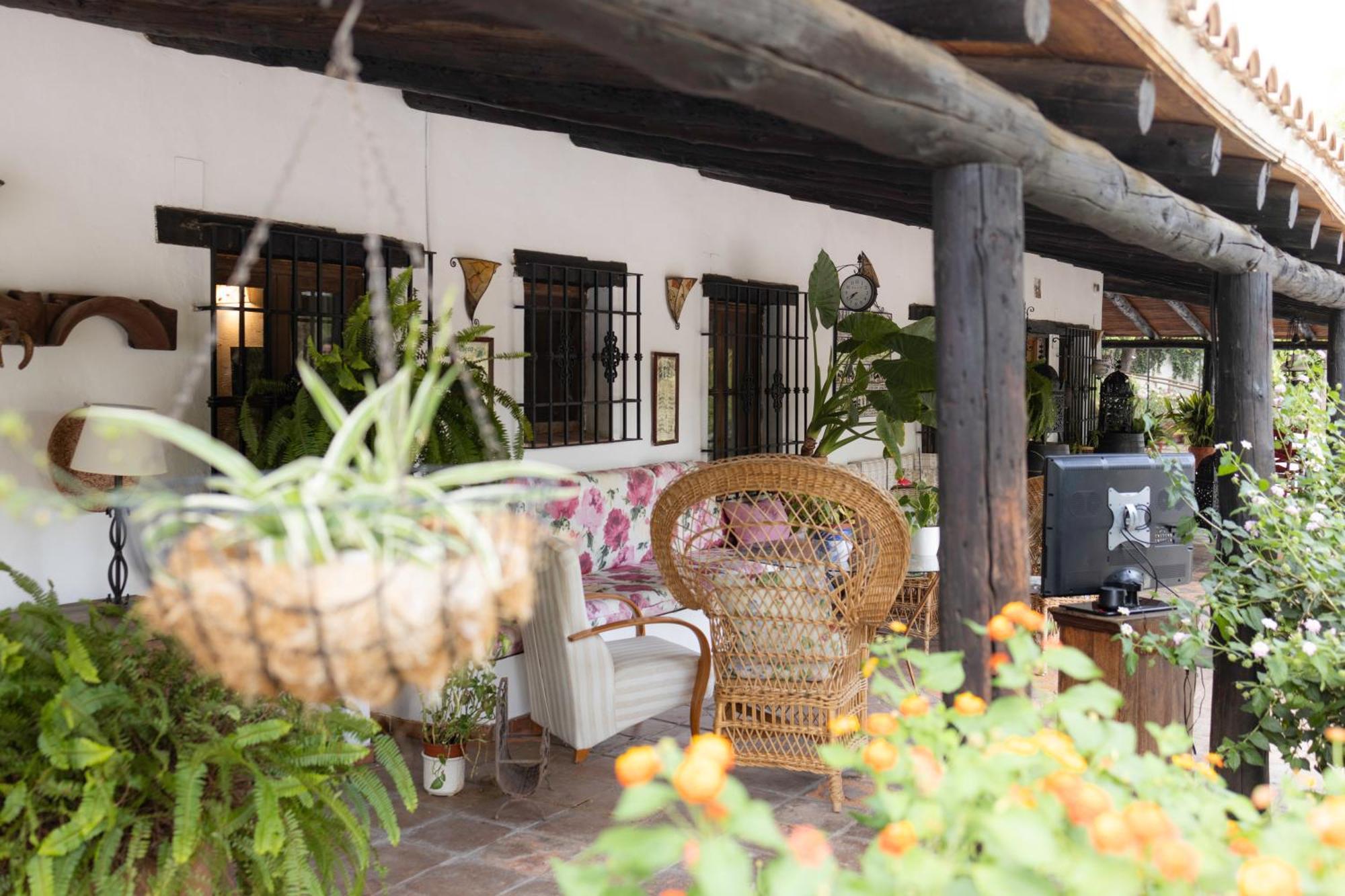 La Cuadra, Finca A Los Pies De Sierra Nevada, A 10 Minutos Del Centro, Piscina, Jardin, Barbacoa ラ・スビア エクステリア 写真