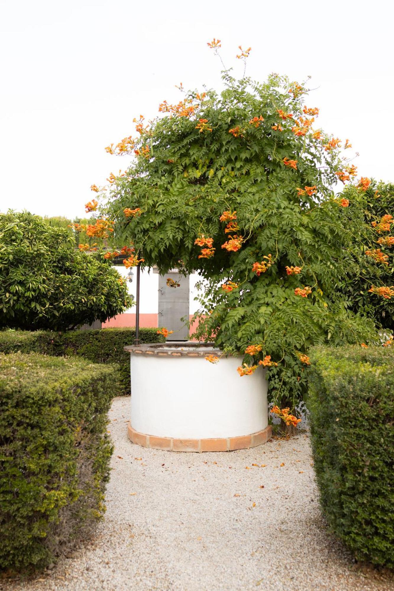 La Cuadra, Finca A Los Pies De Sierra Nevada, A 10 Minutos Del Centro, Piscina, Jardin, Barbacoa ラ・スビア エクステリア 写真